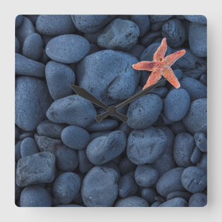 Horloge Carrée Starfish On Black Rocks Along Iceland