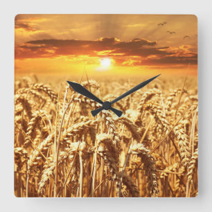 Horloge Carrée Sunset and Wheat Field