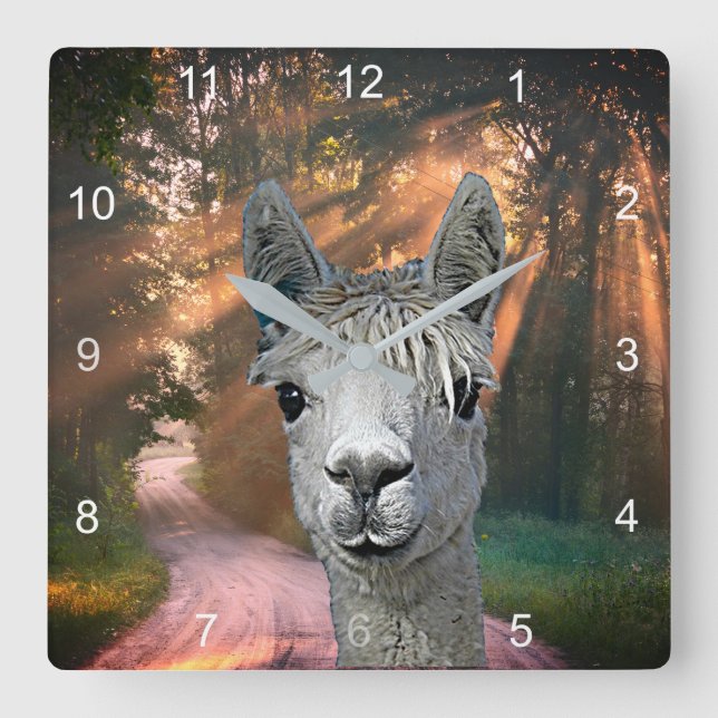Horloge Carrée Sur la route avec Pepe l'Alpaca (Recto)