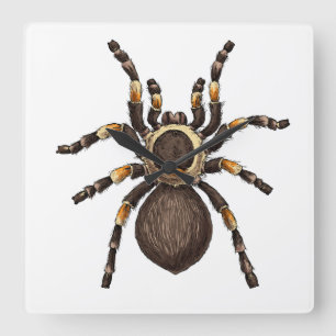 Horloge Carrée Tarantula