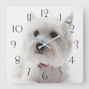 Horloge Carrée Terrier Adorable White West Highland