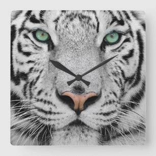 Horloge Carrée Tigre blanc
