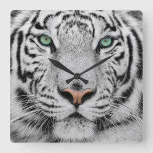 Horloge Carrée Tigre blanc