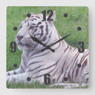 Horloge Carrée Tigre blanc