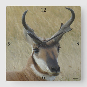 Horloge Carrée Tir dans la tête d'un grand buck d'antilope prongh