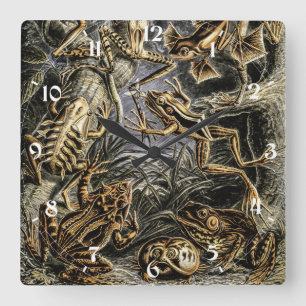 Horloge Carrée Toads vintages et grenouilles par Ernst Haeckel