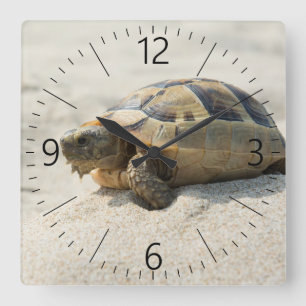 Horloge Carrée Tortue