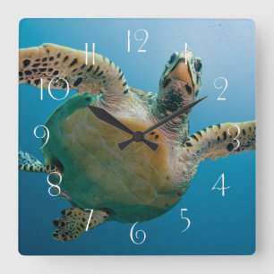 Horloge Carrée Tortue de mer étonnante