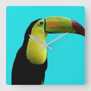 Horloge Carrée Toucan tropical animal modern photo