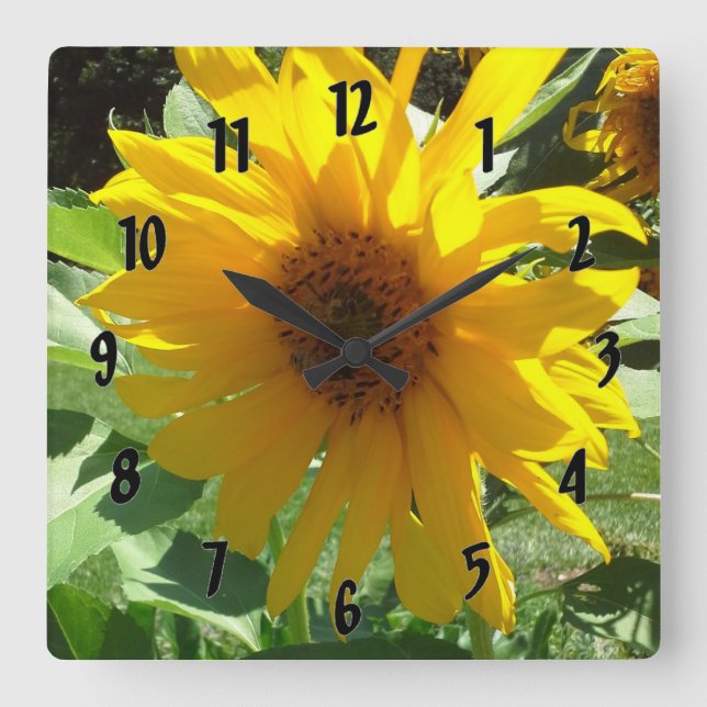 Horloge Carrée Tournesol aux abeilles (Recto)
