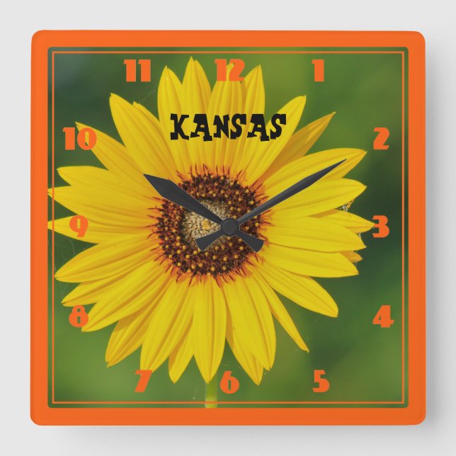 Horloge Carrée Tournesol sauvage du Kansas (Recto)