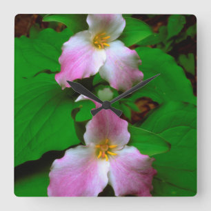 Horloge Carrée Trille Fleur Sauvage