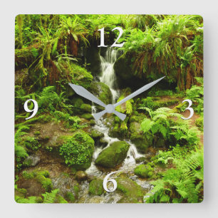 Horloge Carrée Trillium Falls dans le parc national de Redwood