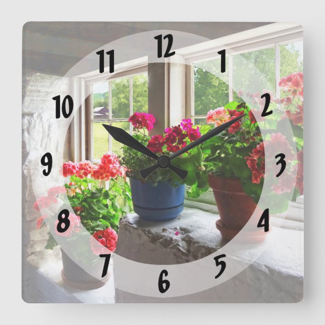 Horloge Carrée Trois Pots de Geraniums sur Windowsill (Recto)