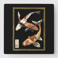 Two Japanese Koi Goldfish on Black Background