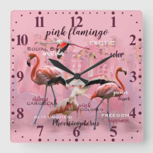 Horloge Carrée Typographie du Flamant rose rose  Customisé