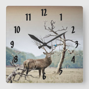 Horloge Carrée Un Cerf Et Un Bluebird
