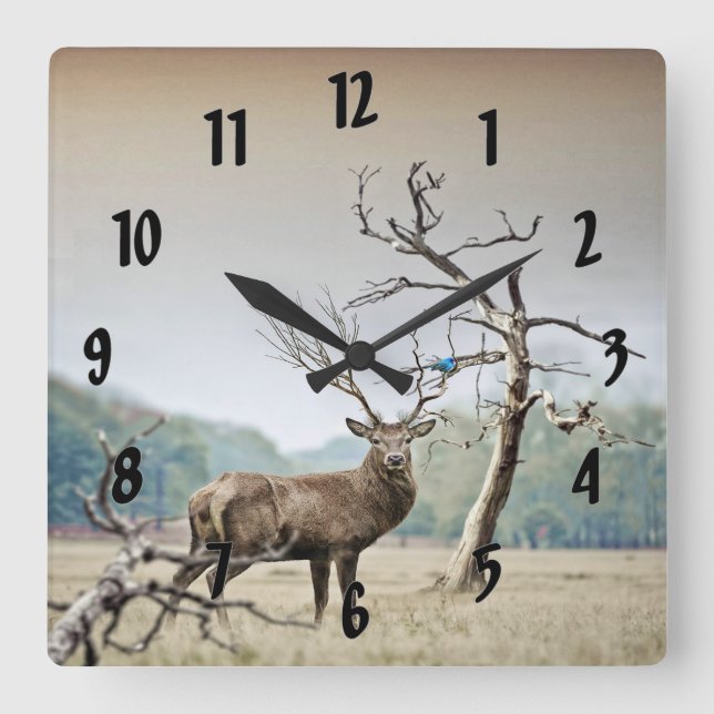Horloge Carrée Un Cerf Et Un Bluebird (Recto)