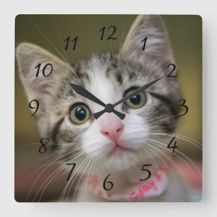Horloge Carrée Un chaton mignon aux yeux verts