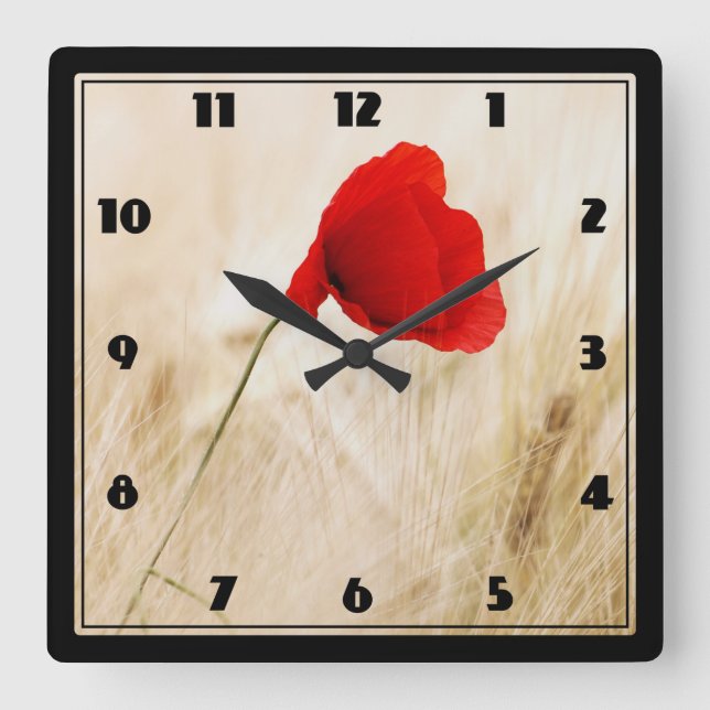 Horloge Carrée Un seul pavot rouge dans un champ de graminées (Recto)