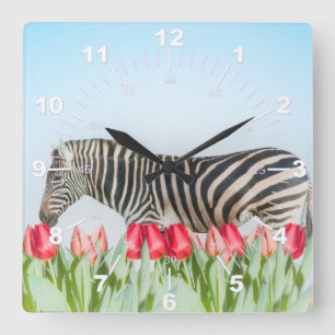 Horloge Carrée Un zèbre parmi les tulipes