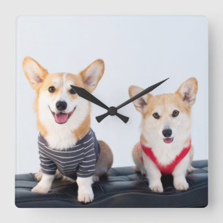 Horloge Carrée Une Paire De Corgis Assis Sur Un Banc