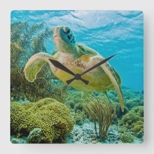 Horloge Carrée Une tortue verte sur les récifs peu profonds de