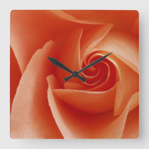 Horloge Carrée USA, Colorado, Lafayette. Complément rose de pêc