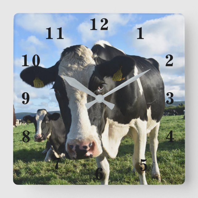 Horloge Carrée Vache (Recto)