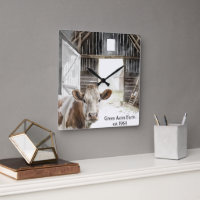 Vache Hereford et coq en Grange