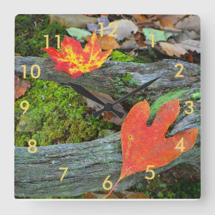 Horloge Carrée Wall Clock Autumn Leaves