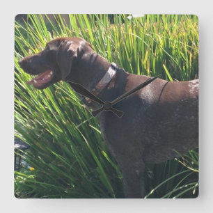 Horloge Carrée Wall Clock with German Shorthair Pointer