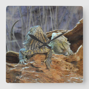 Horloge Carrée Wall Clock  with two curious lizards