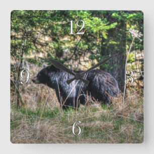 Horloge Carrée Wild Black Bear & Forest Wildlife Photo Wall Clock