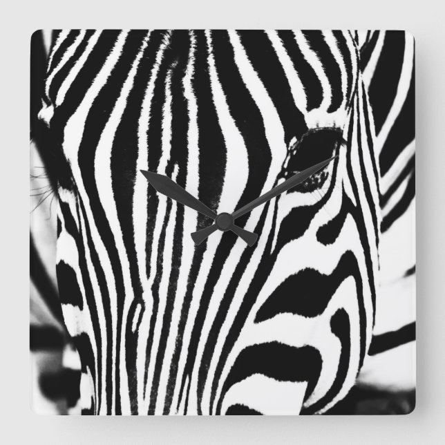 Horloge Carrée Zebra portrait noir et blanc (Recto)