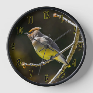 Horloge Cèdre cire Songbird Photo originale Oiseau sauvage
