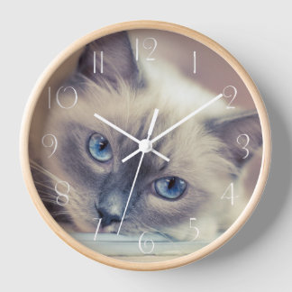 Horloge Chat ‎