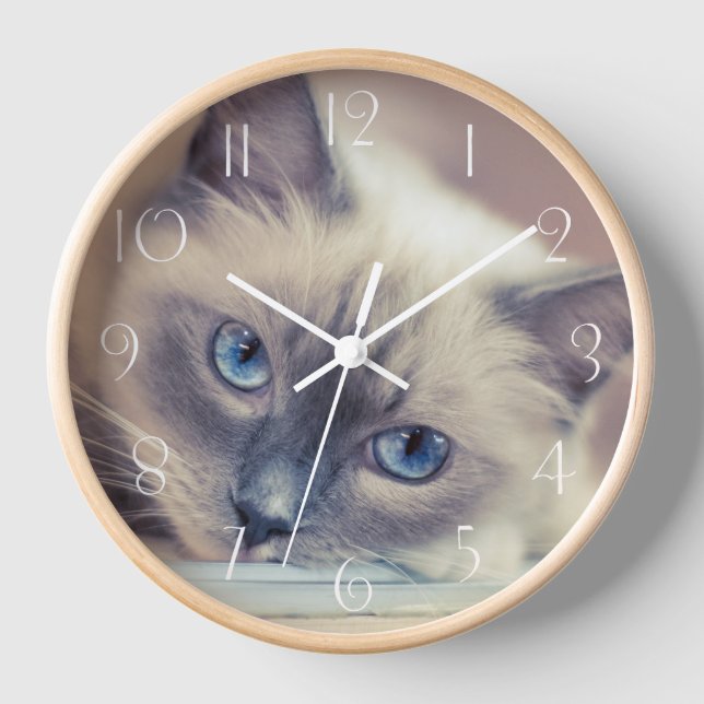 Horloge Chat ‎ (Recto)