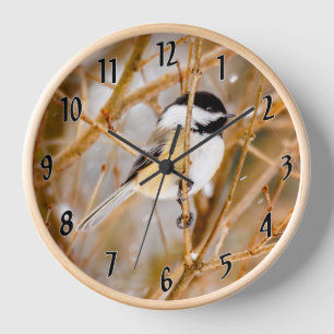 Horloge Chickadee au plafond noir - Photo originale