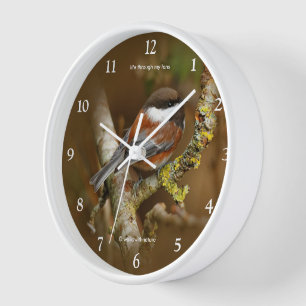 Horloge Chickadee Songbird dans l'arbre à dos de châtaigni