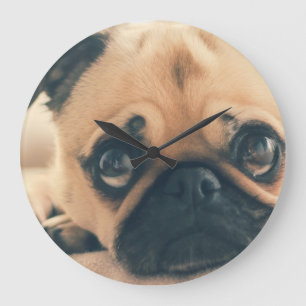 Horloge chien