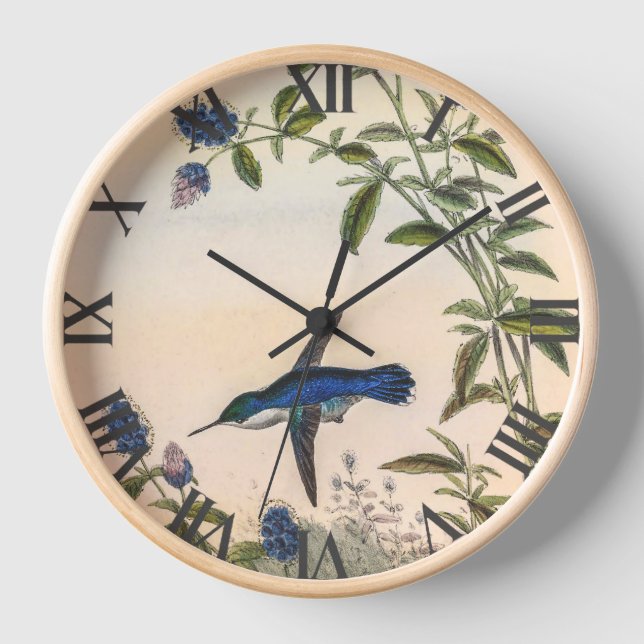 Horloge Colibri par John Gould (Recto)