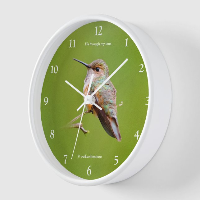 Horloge Colibri roux sur California Lilac (Angle)