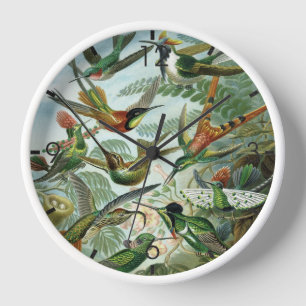 Horloge Colibris - Ernst Haeckel