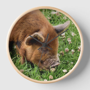 HORLOGE COUPER