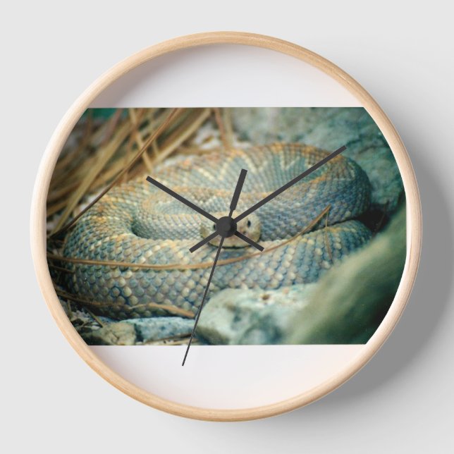 Horloge Crotte (Recto)