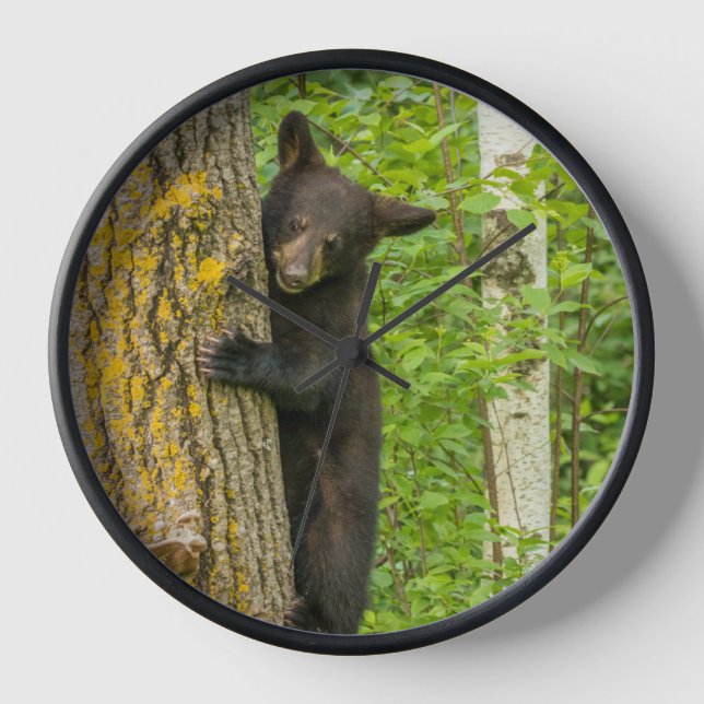 Horloge Cube d'ours noir | Minnesota (Recto)