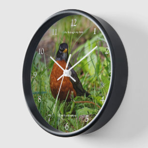 Horloge Curieux oiseau-chanteur Robin Américain dans l'her
