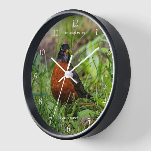 Horloge Curieux oiseau-chanteur Robin Américain dans l'her (Angle)