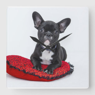 Horloge de bouledogue français